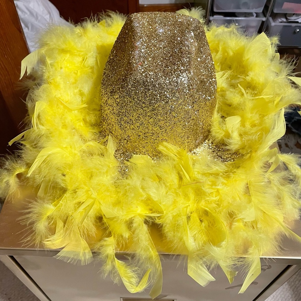 Cowgirl hat
